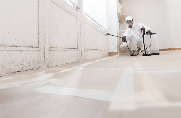 24/7 Emergency Attic Mold Removal experts in Saratoga, NC